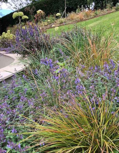 laurel-hill-garden-design-back-garden