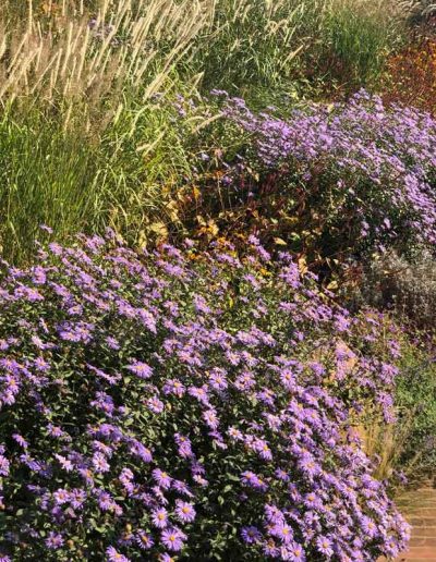 laurel-hill-garden-design-chantry-view-bank