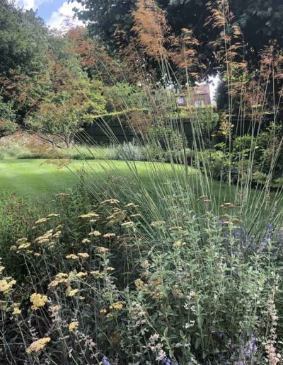 laurel-hill-garden-design-guildford-hilltop-14