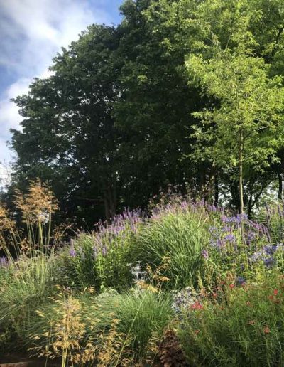 laurel-hill-garden-design-guildford-hilltop-15