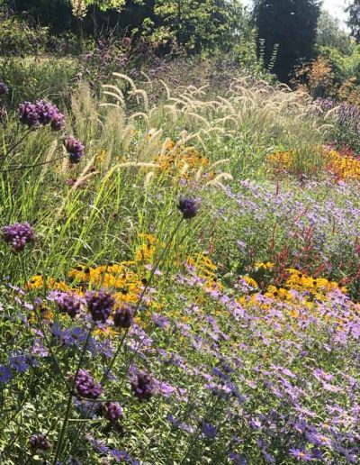 laurel-hill-garden-design-guildford-hilltop-16