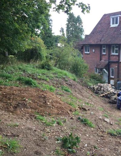laurel-hill-garden-design-guildford-hilltop-before-4