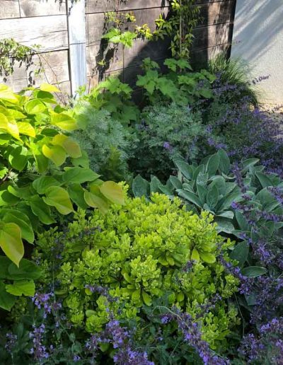 laurel-hill-garden-design-chantry-quarry-planting-update-2