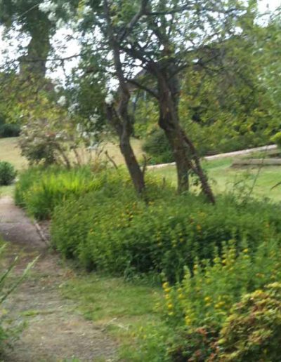 laurel-hill-garden-design-large-country-garden-1