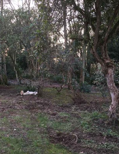 laurel-hill-garden-design-large-country-garden-2