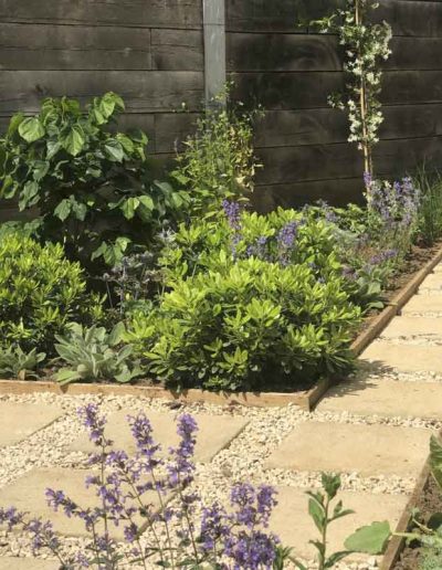 laurel-hill-garden-design-roof-garden-1