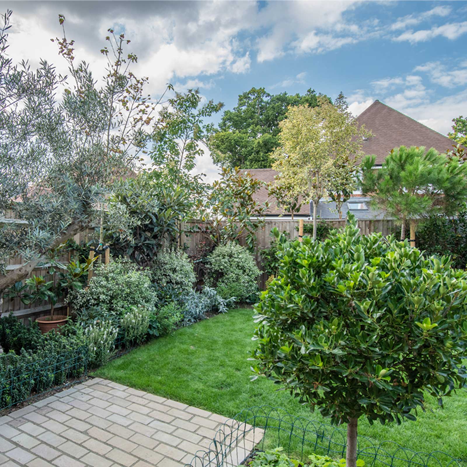 laurel-hill-gardens-olive-tree-garden-Gibbet-Mead-10