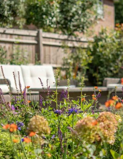 Laurel-Hill-Gardens-Hydon-Grove-Oak-Pergola-Garden-9