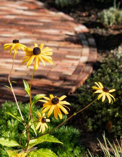 Laurel-Hill-Gardens-Shillinglee-Lakeside-Country-Garden--20