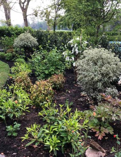 laurel-hill-gardens-hove-front-garden-2620