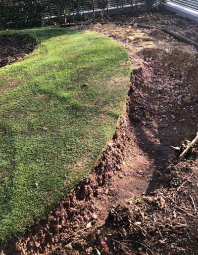 laurel-hill-gardens-hove-front-garden--before--2045