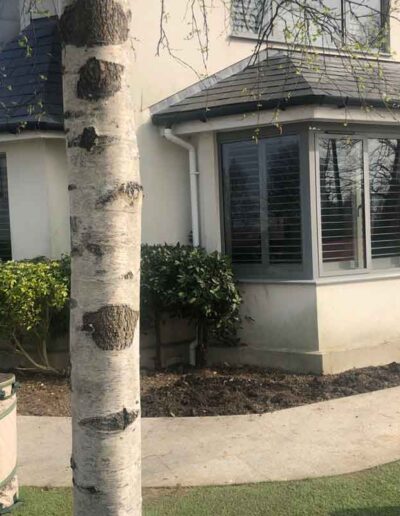 laurel-hill-gardens-hove-front-garden--before-2218