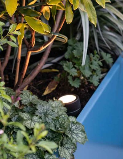 laurel-hill-gardens-london-courtyard-12