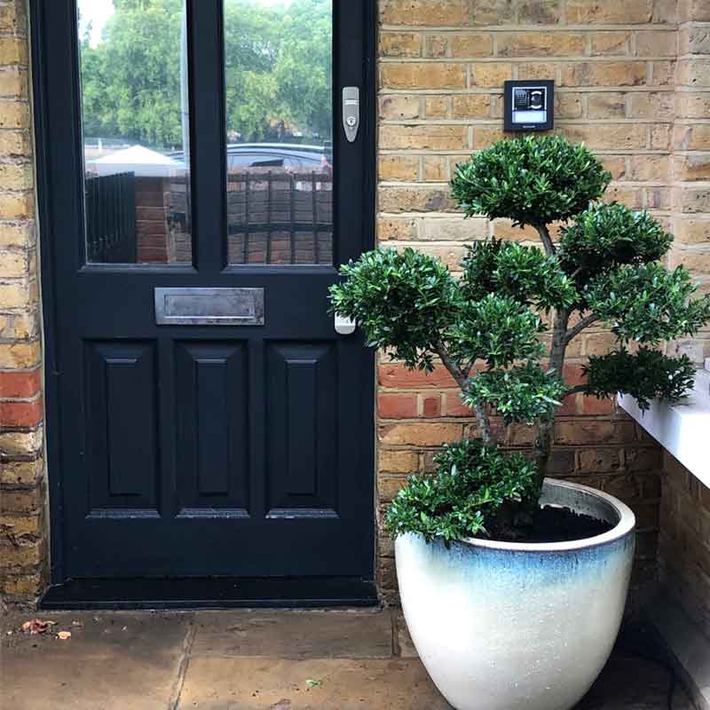 laurel-hill-gardens-entertainment-garden