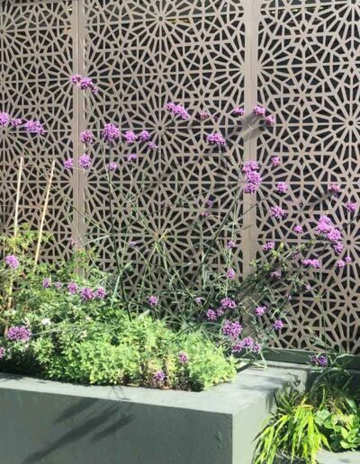 Laurel-Hill-Gardens-Hove-Contemporary-Garden-13