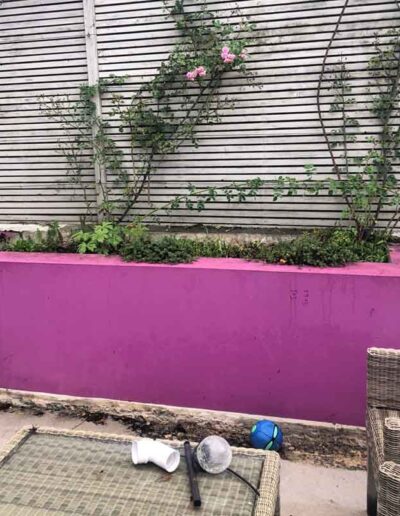 Laurel-Hill-Gardens-Hove-Contemporary-Garden-Before-1