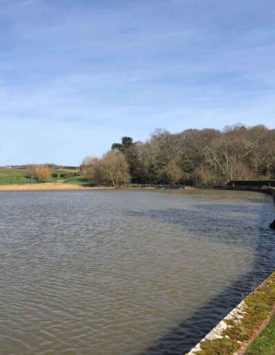 laurel-hill-gardens-lakeside-country-garden-before-12