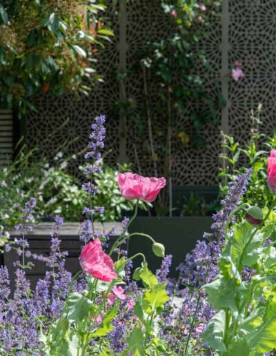 Laurel-Hill-Gardens-Hove-Contemporary-Garden-west-sussex-2