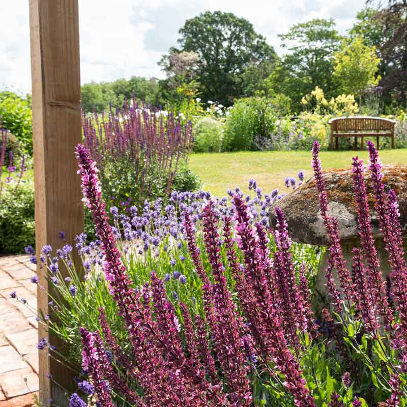 laurel-hill-gardens-high-edser-5