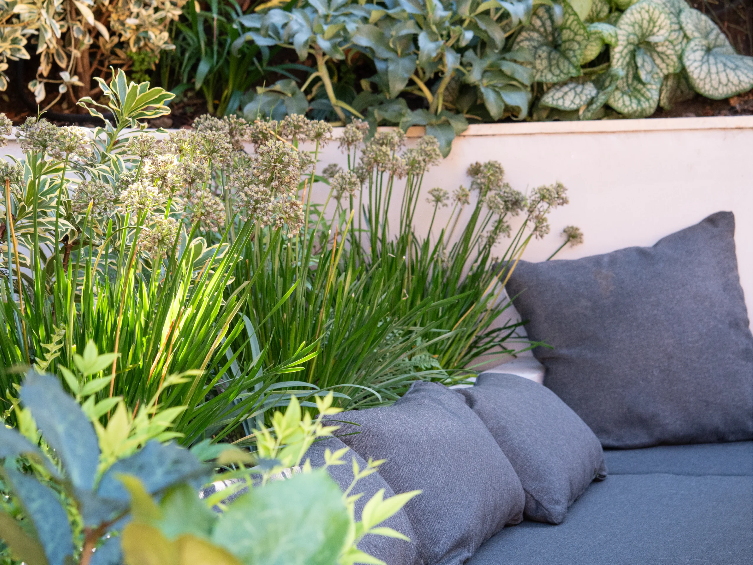 laurel-hill-gardens-contemporary-courtyard-garden-surrey-hills-04