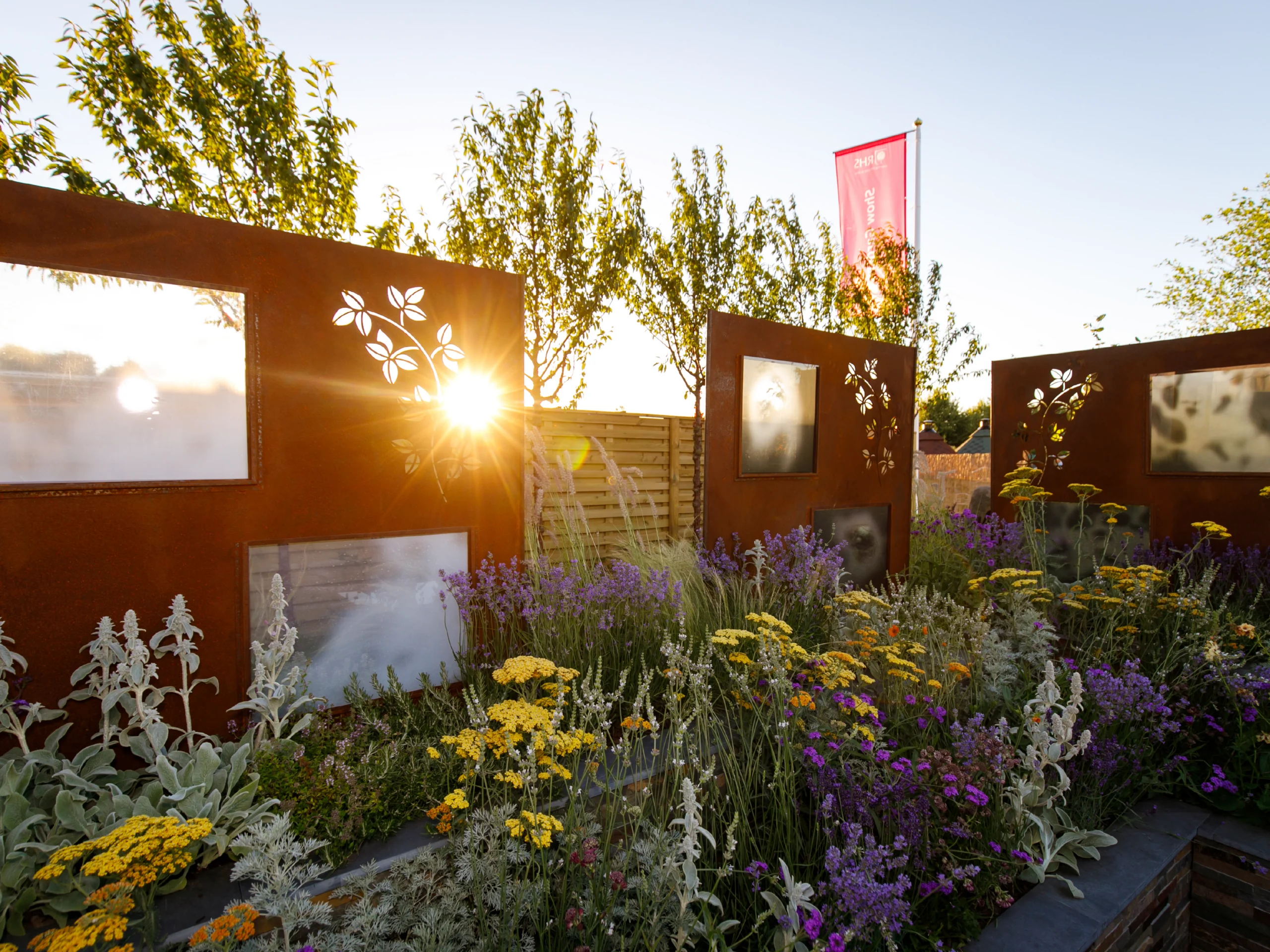 landscaper-garden-design-in-the-surrey-hills surrey garden drought