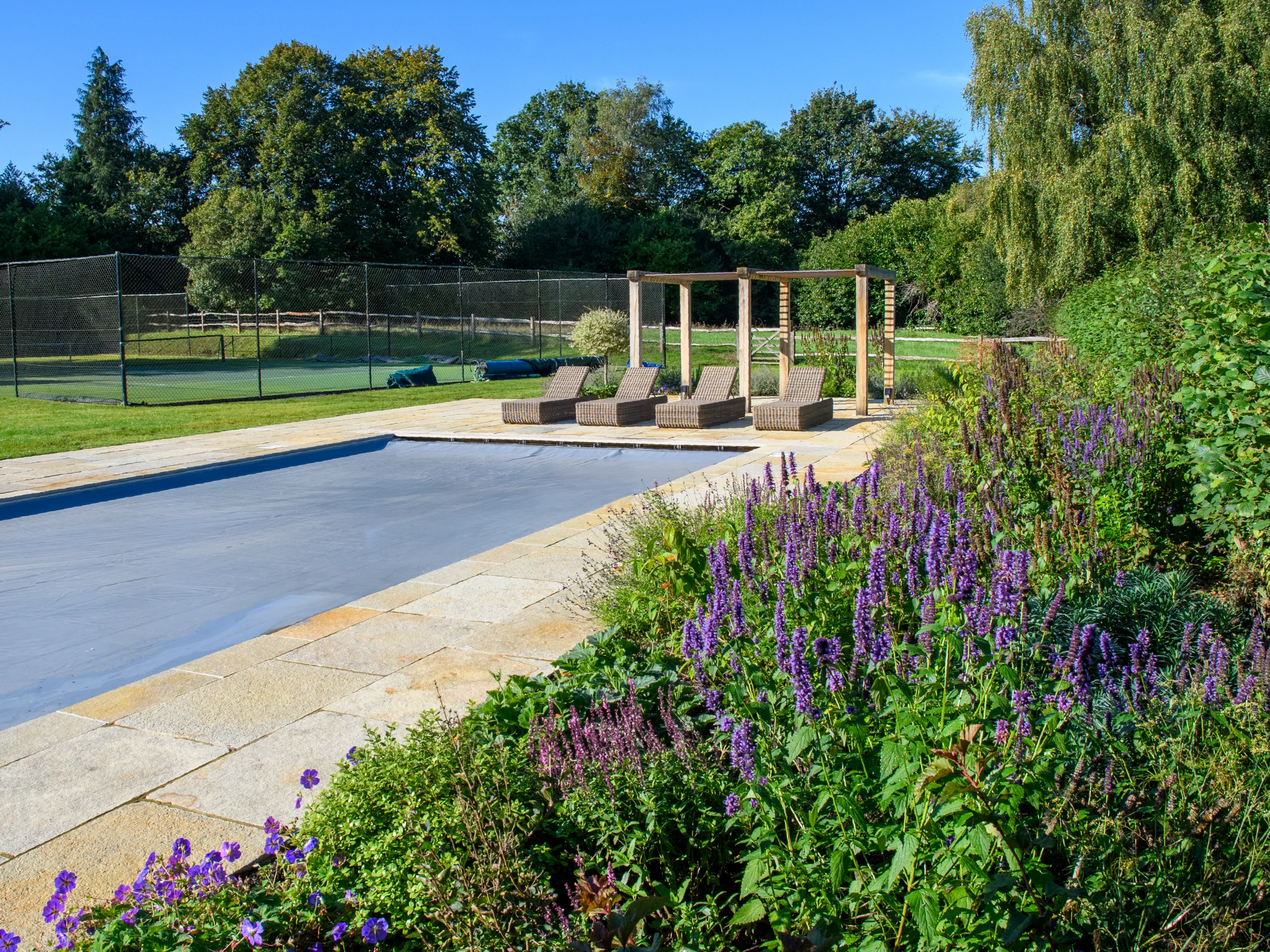 new-garden-design-in-the-surrey-hills surrey garden drought